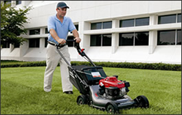 Honda Lawnmower