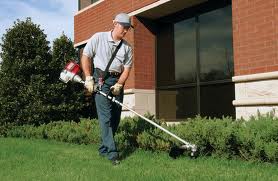 Honda Trimmer