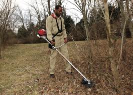 Honda Trimmer