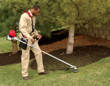 Honda Trimmer